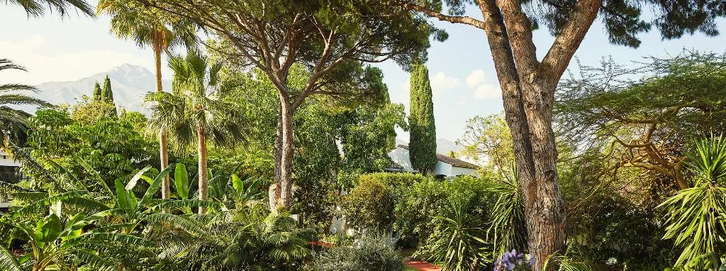 SUITE STANDARD Room, Marbella Club Hotel, Costa Del Sol