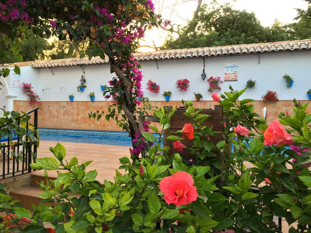 Pool, Carmen Teresa, Costa Del Sol