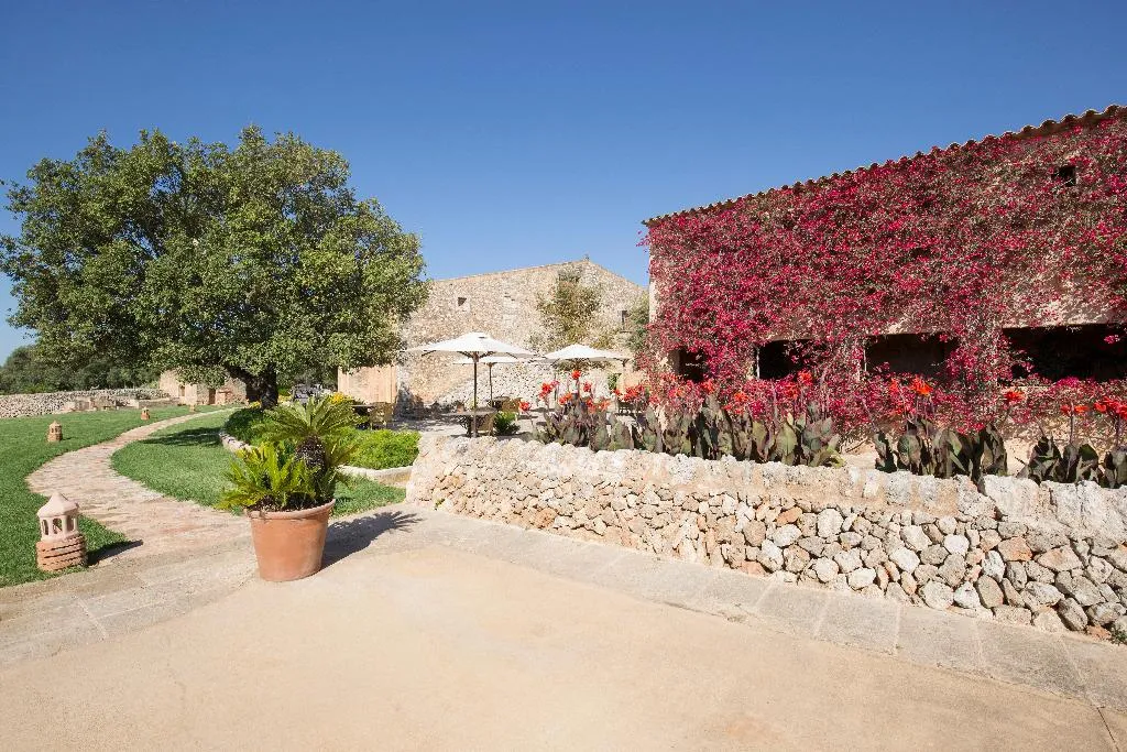 Terrace, Son Cosmet, Majorca