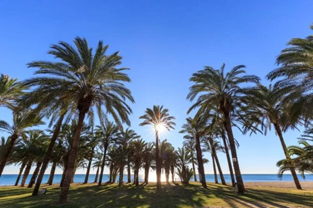 Beach, Beatriz Cozy Inns, Costa Del Sol