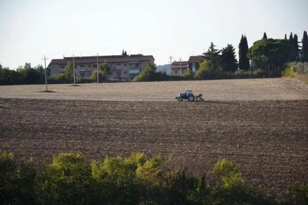 General view, Perugia Farmhouse, Perugia
