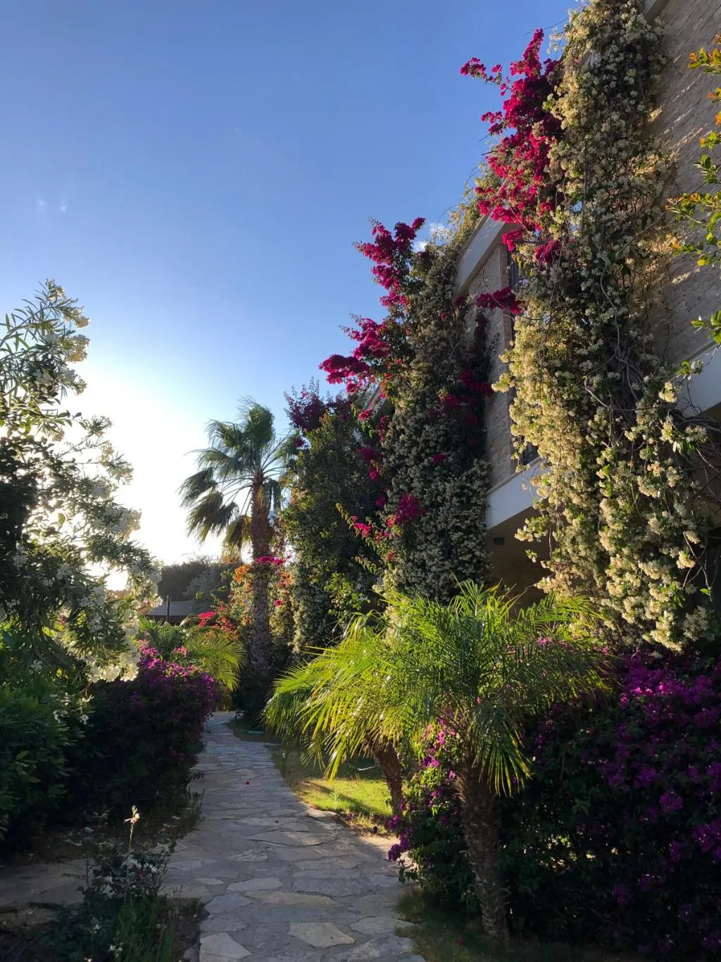General view, Spektr Boutique Hotel Yalikavak, Bodrum