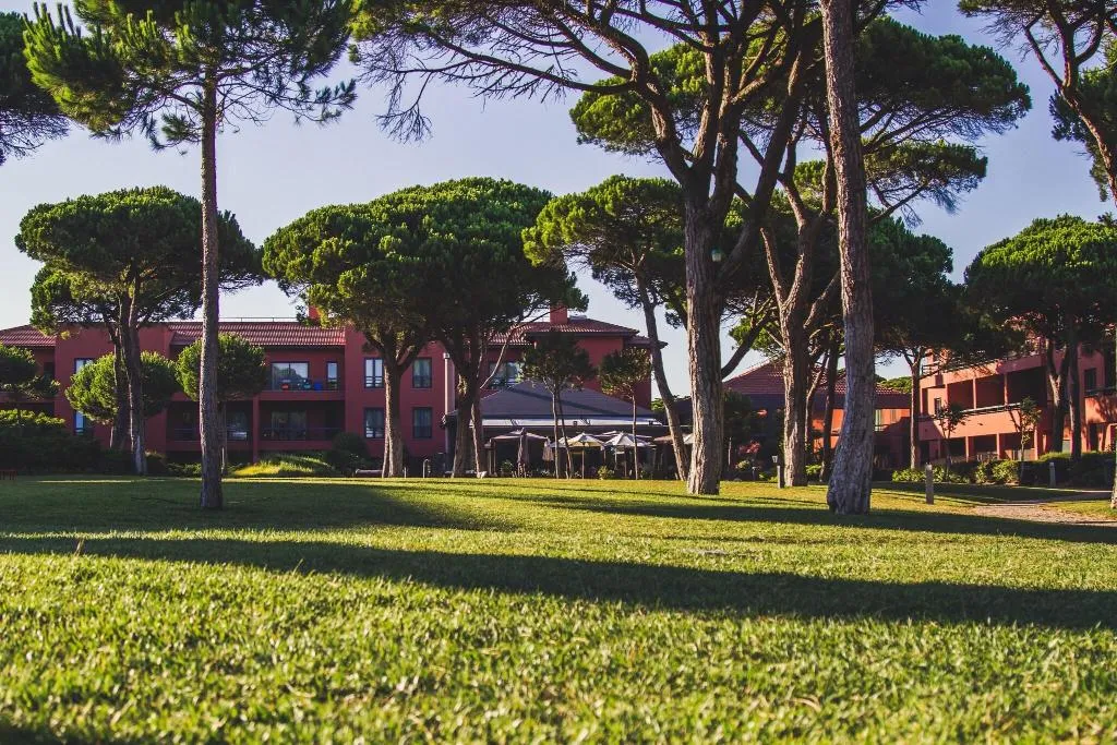 Terrace, Sheraton Cascais, Lisbon
