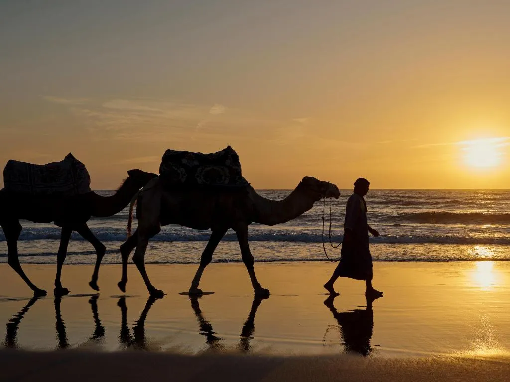 Sports and Entertainment, Fairmont Taghazout Bay, Agadir