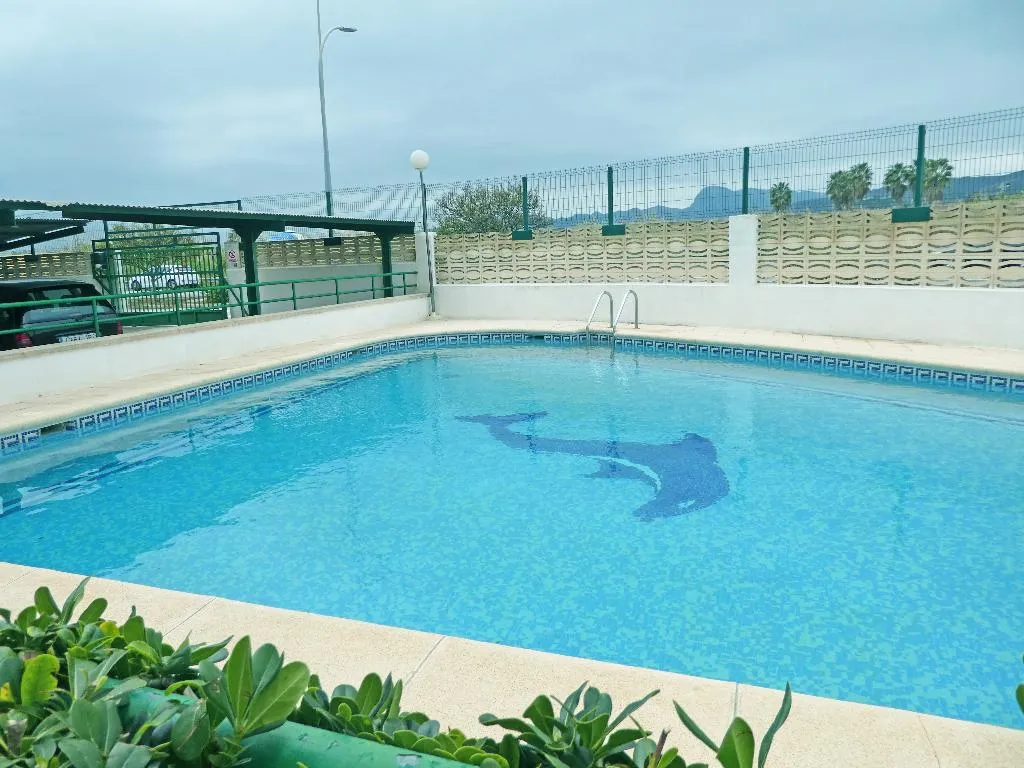 Pool, Jardines de Gandia VI - VIII 3000, Valencia