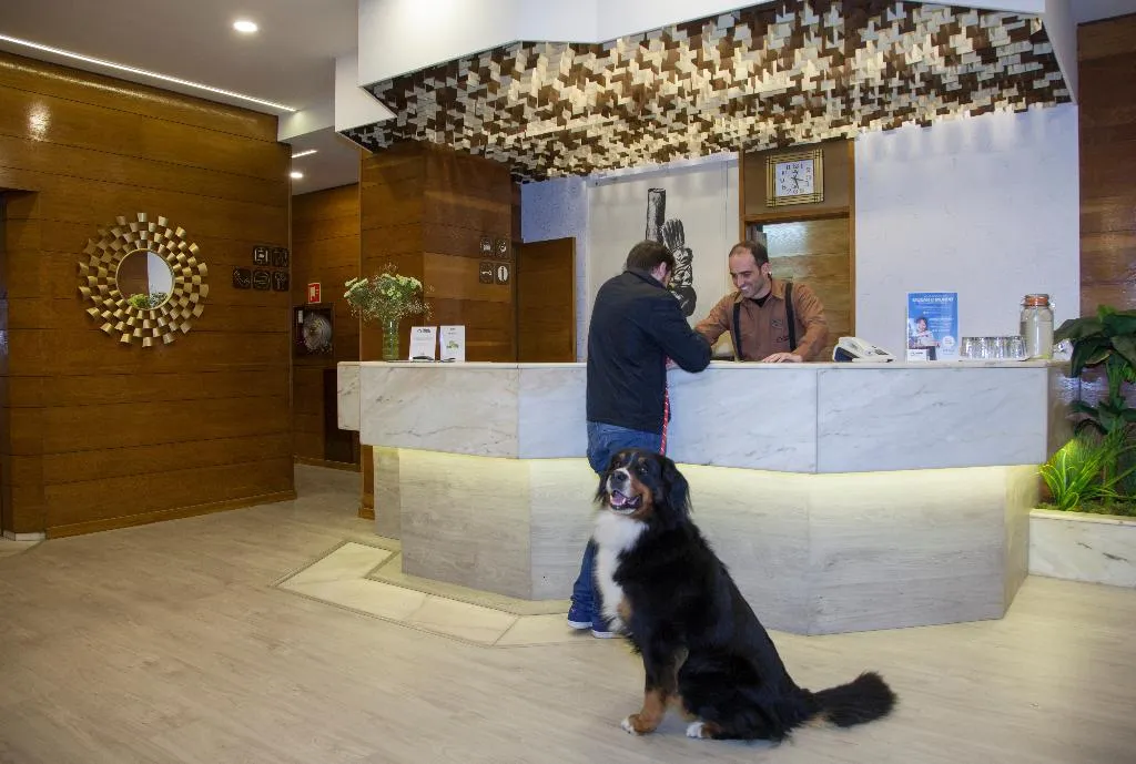 Lobby, Casual Inca Porto, Porto