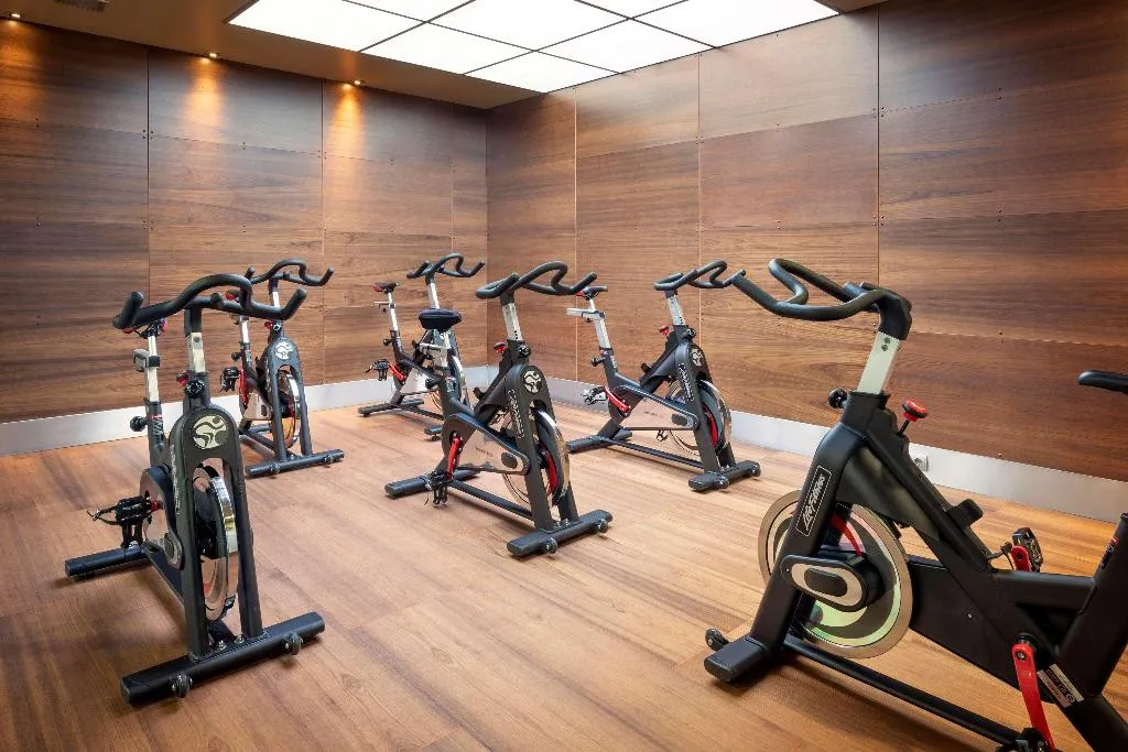 Sports and Entertainment, Melia Avenida America, Madrid