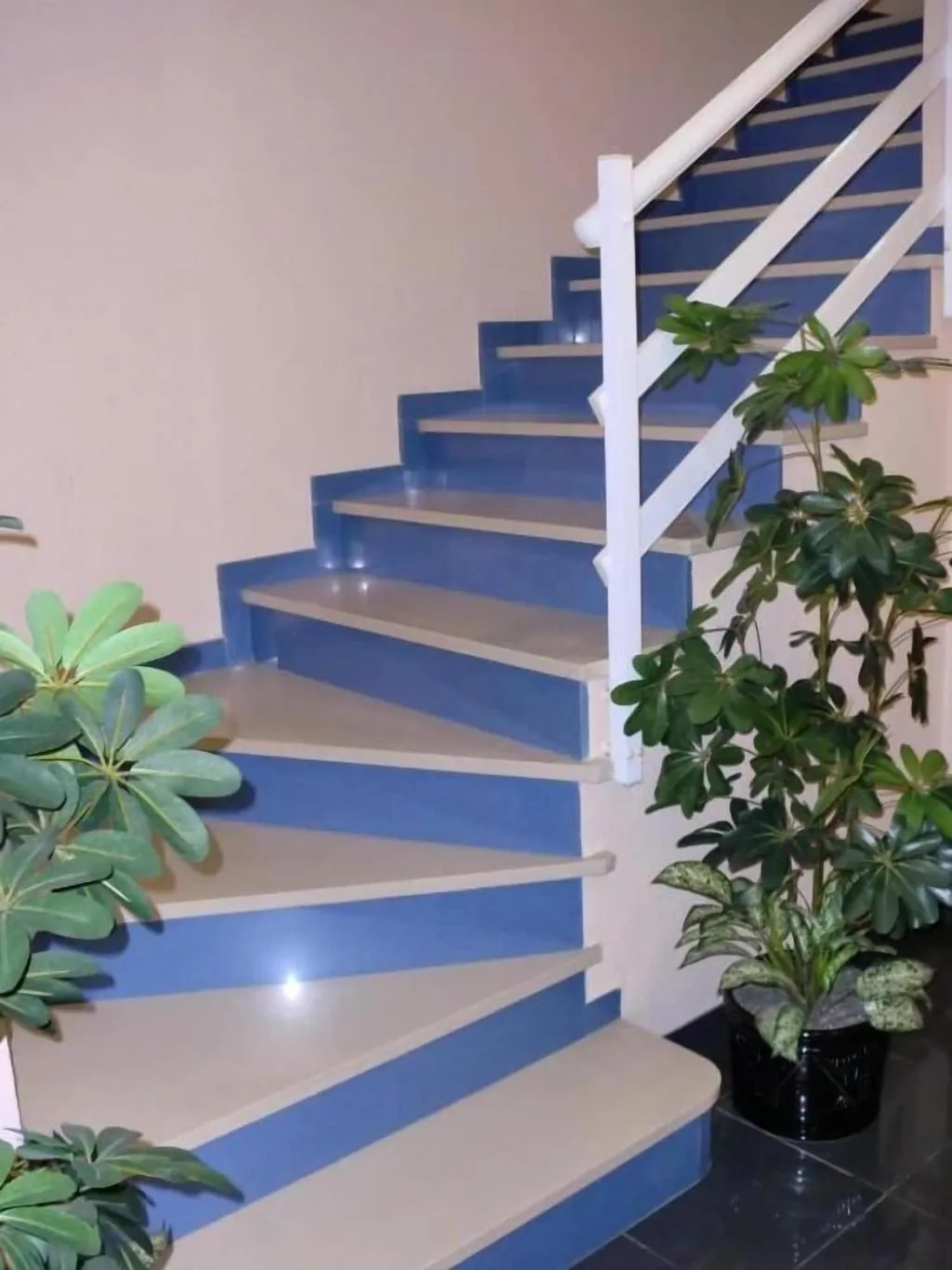 Lobby, Hostal Quatre Llunes, Costa Blanca