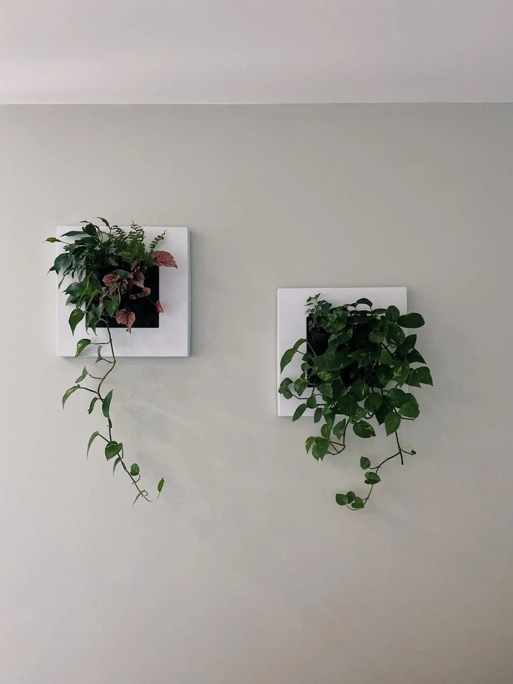 Room, Luna House, Lisbon