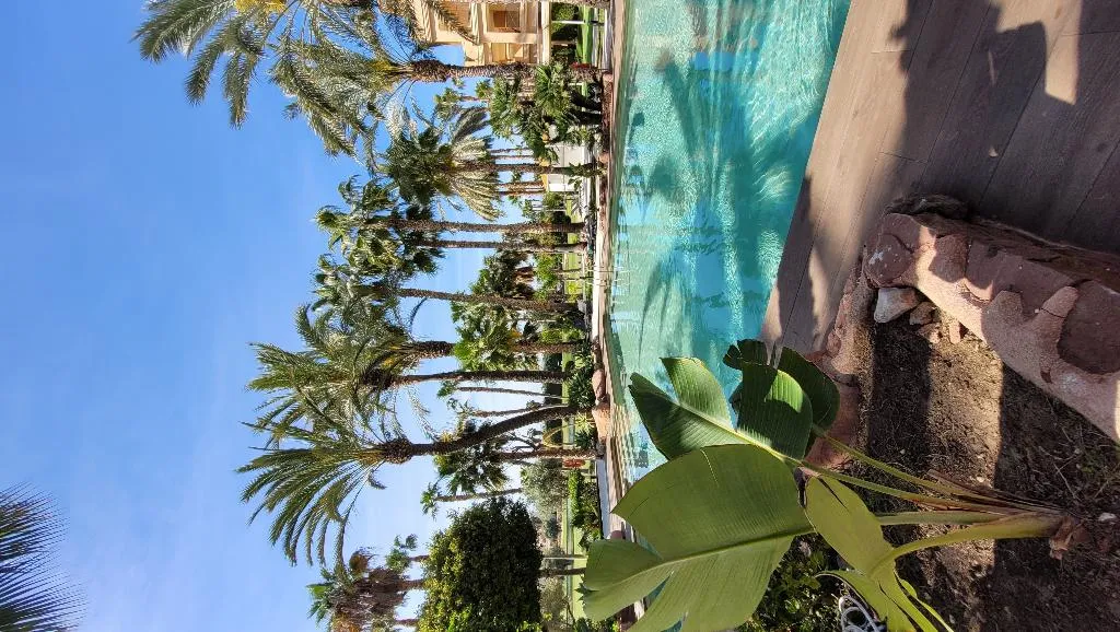 Pool, Hotel Alicante Golf, Costa Blanca