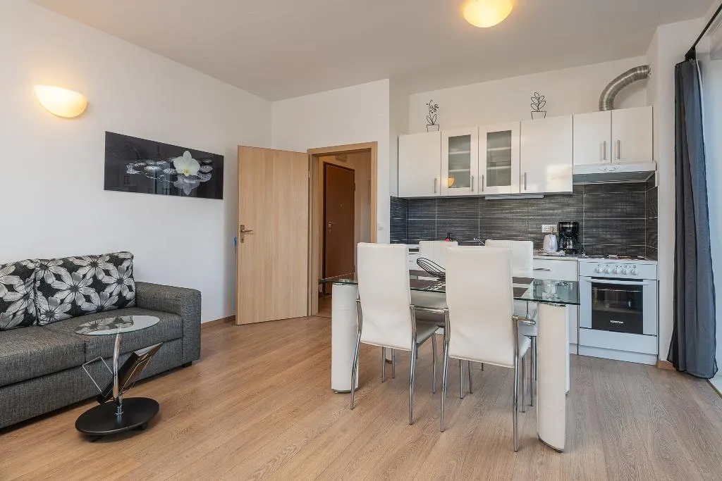 APARTMENT SEA VIEW WITH BALCONY Room, Apartments Didan, Dubrovnik