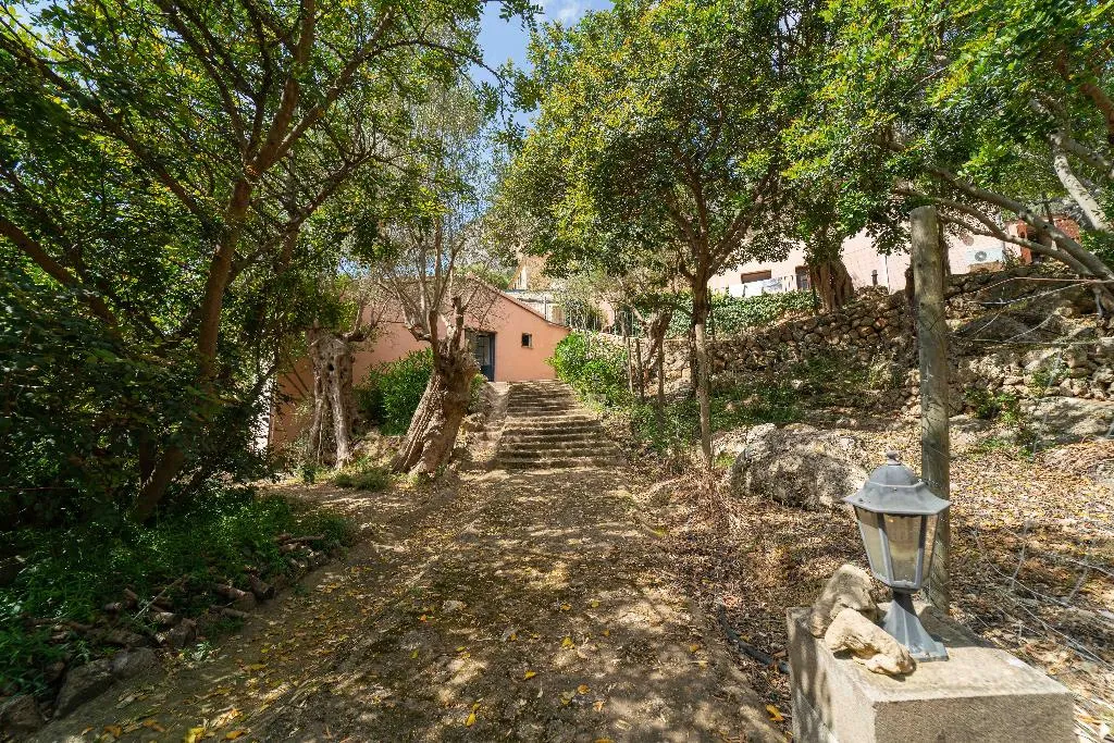 Sports and Entertainment, Hotel Rural S'Olivaret, Majorca