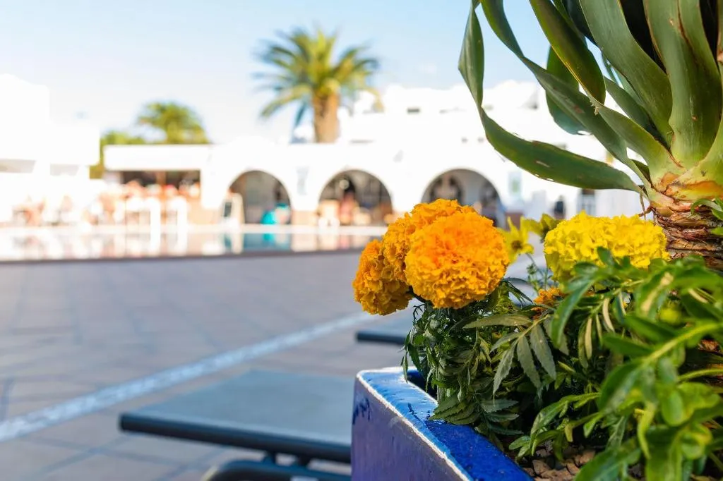 Sports and Entertainment, Club Las Adelfas, Lanzarote