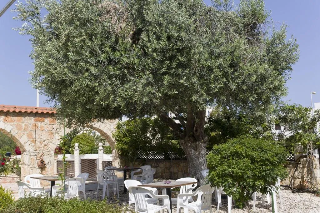Terrace, Eliofos Elegant Maisonettes, Cyprus