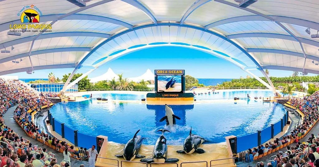 Sports and Entertainment, Adonis Capital, Tenerife