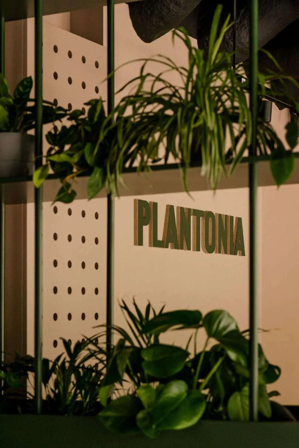 Lobby, Plantonia Aparthotel, Krakow