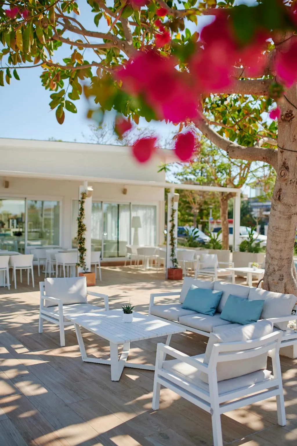 Bar, Alua Boccaccio, Majorca