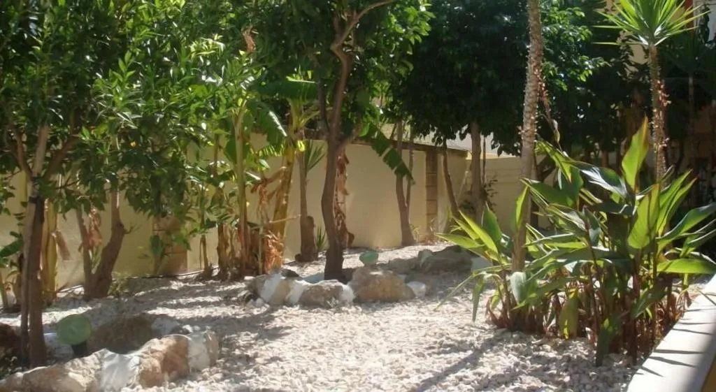 General view, Billy's Studios, Rhodes