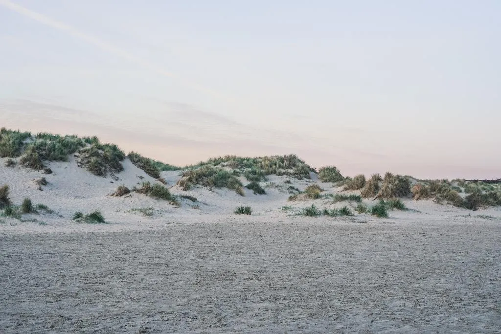 Beach, Leonardo Hotel IJmuiden Seaport Beach, Amsterdam
