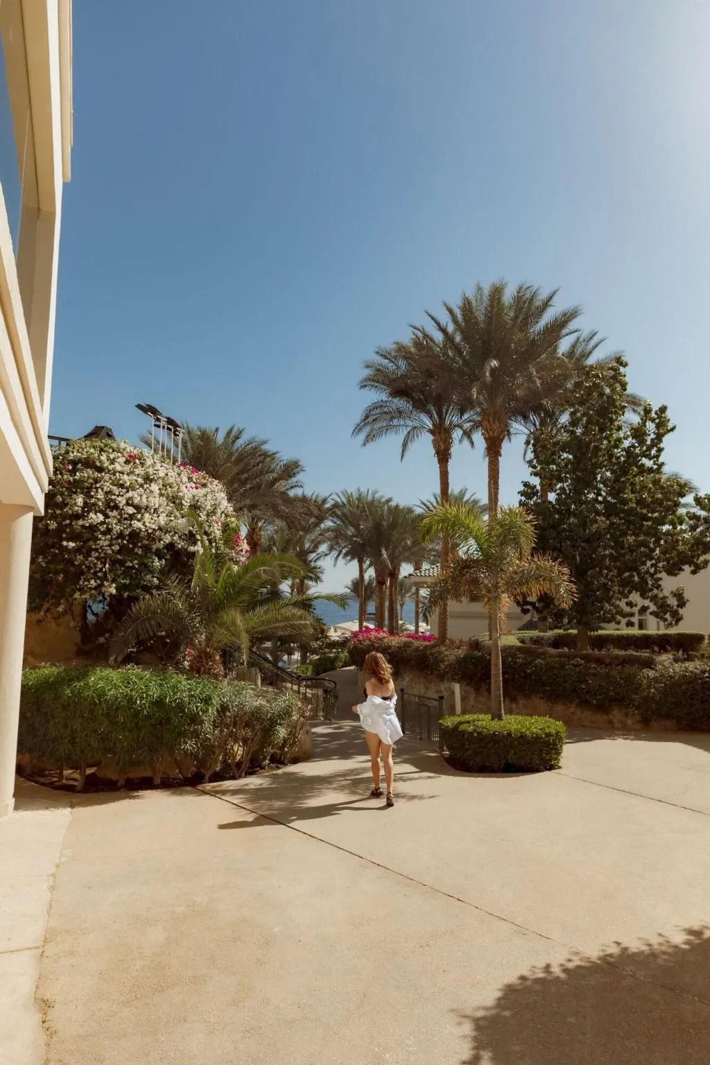 General view, Stella Di Mare Beach Hotel, Red Sea Riviera
