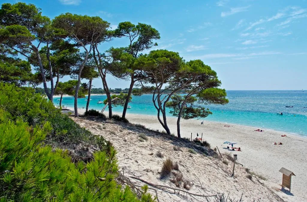 Beach, Aparthotel Isla de Cabrera, Majorca