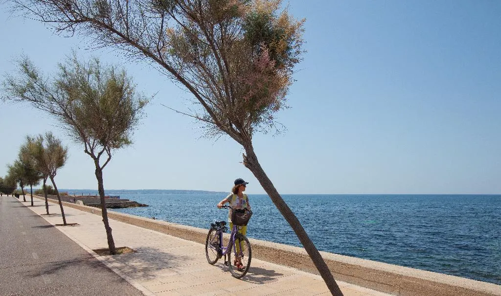Sports and Entertainment, JS Palma Stay, Majorca