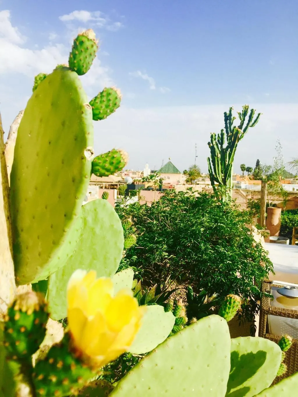General view, Riad 144, Marrakech