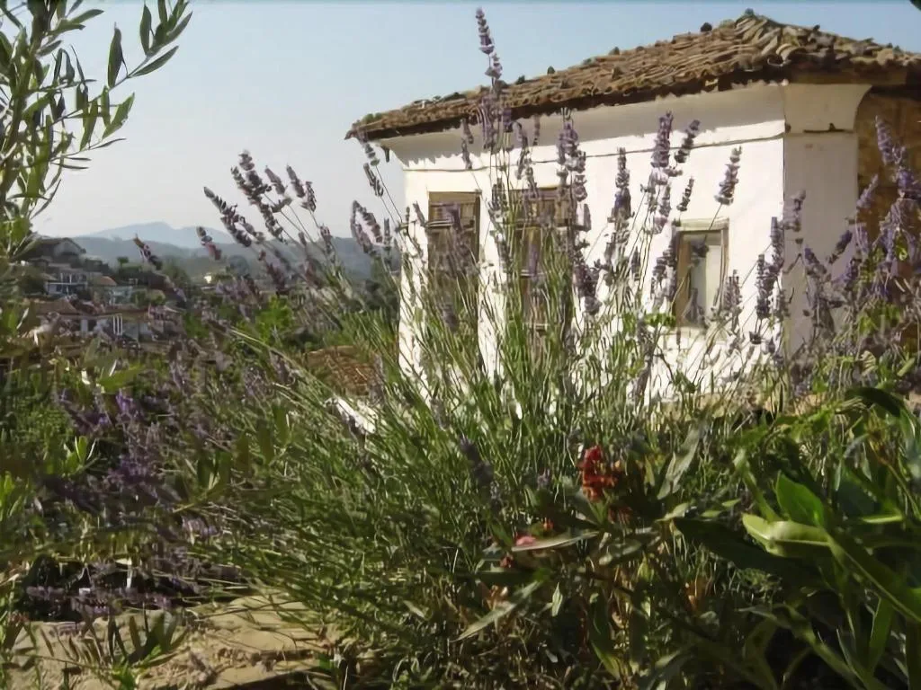 General view, Terrace Houses Sirince - Fig, Olive and Grapevine, Izmir