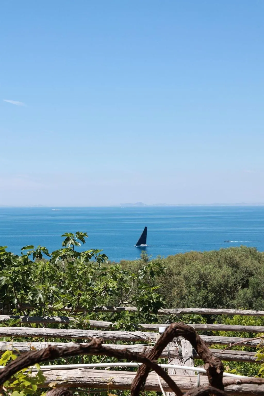 General view, Villa Puolo - With Private Sea Access, Naples