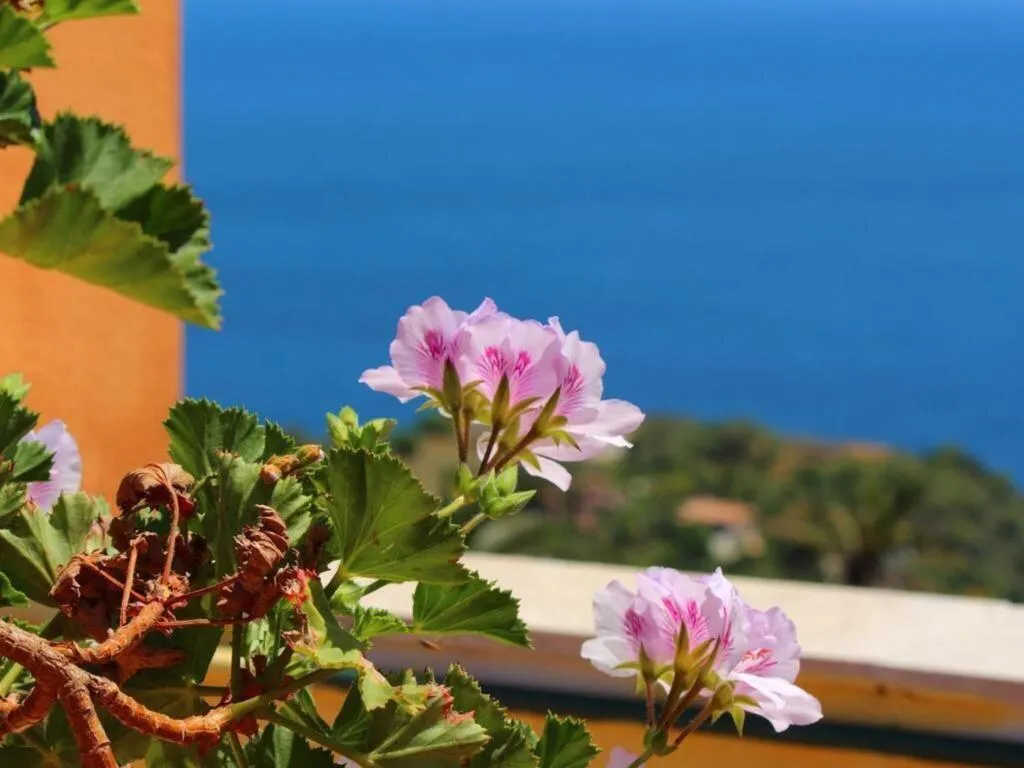 General view, Inn Piero, Taormina