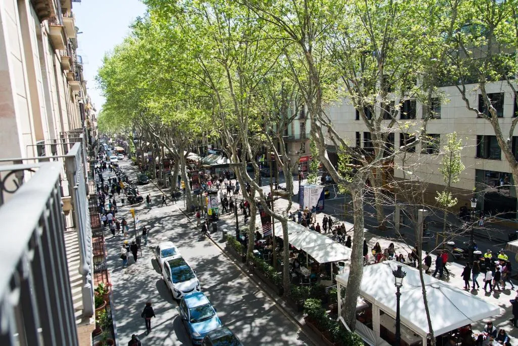 General view, Flor Parks, Barcelona