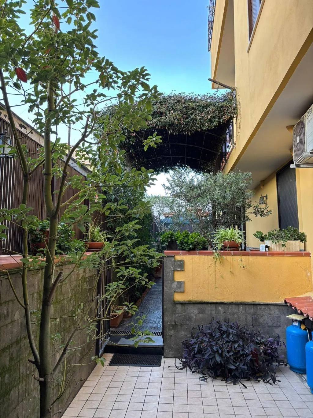 Room, Home To Fly, Naples