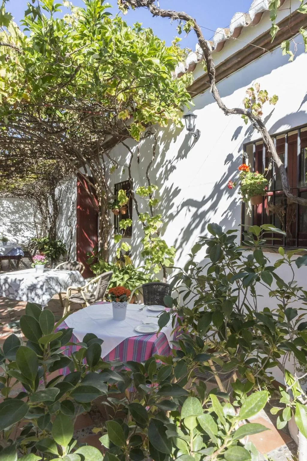 Restaurant, Cortijo del Arte, Costa Del Sol