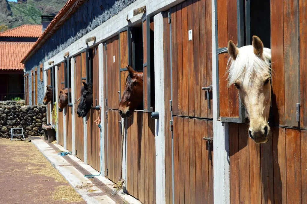 Sports and Entertainment, La Casona Del Patio, Tenerife
