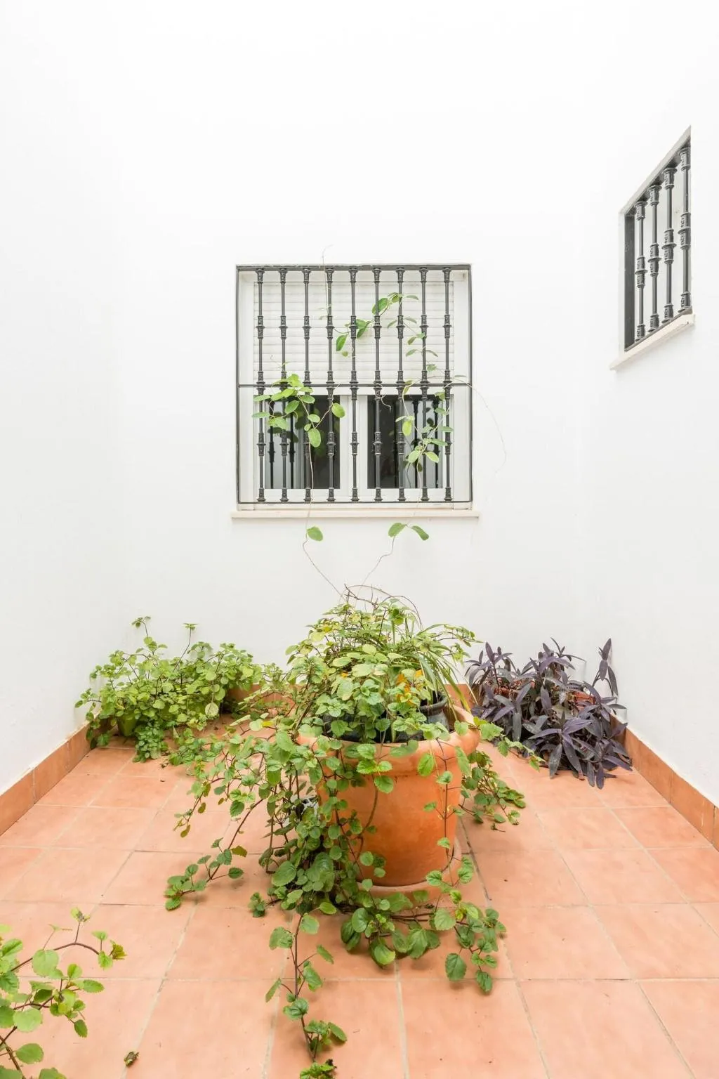 Terrace, Cool Sevilla Hotel, Seville