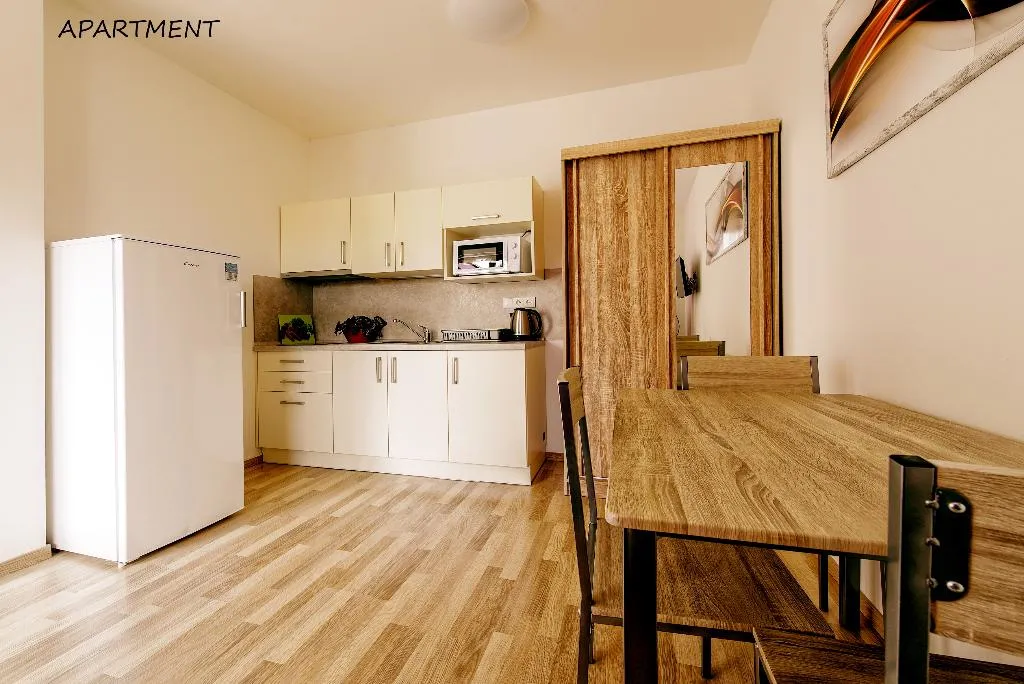 APARTMENT CAPACITY 3 ONE BEDROOM Room, Otakar, Prague