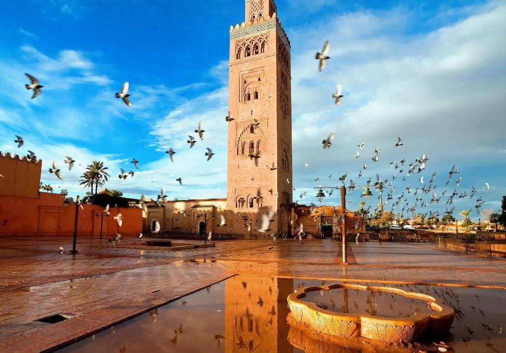 General view, Riad Al Jana, Marrakech
