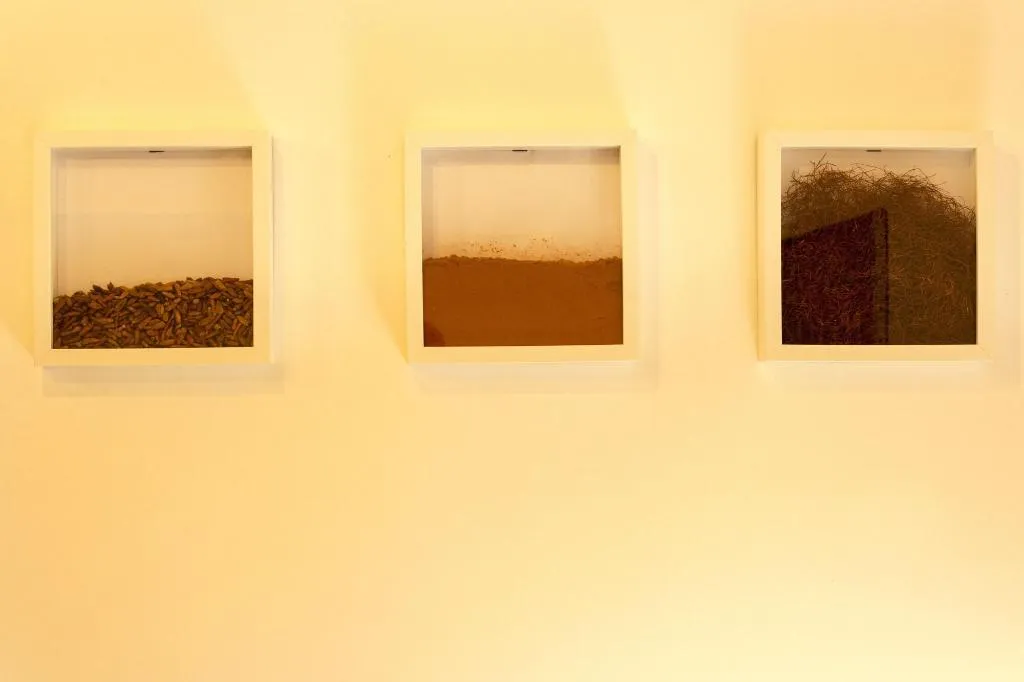 Room, Sui Tetti Di Napoli, Naples