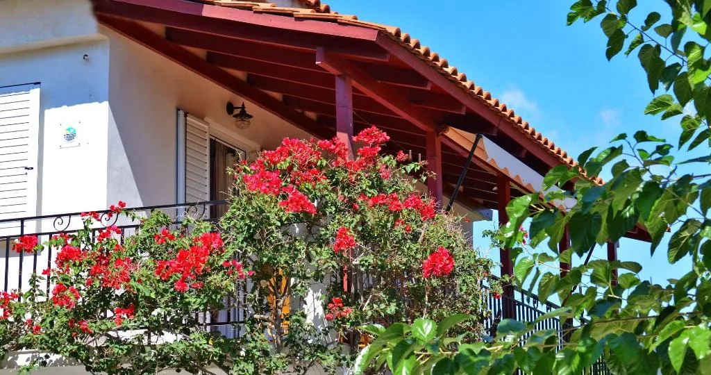 Room, Lemonia Accommodations, Zante