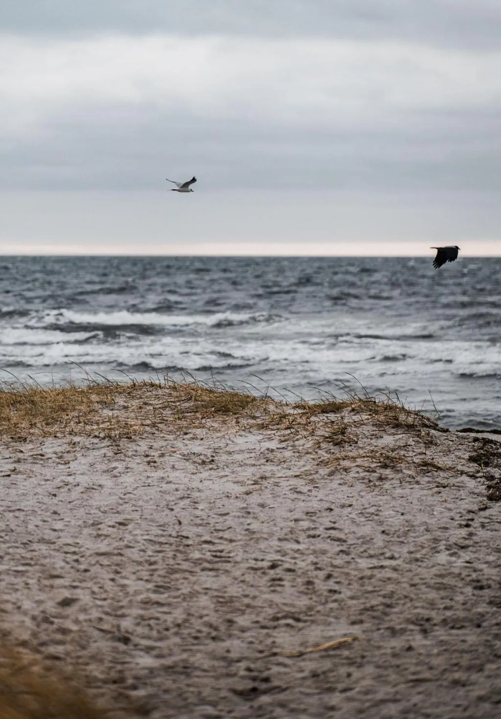 Beach, Strandmotellet, Copenhagen
