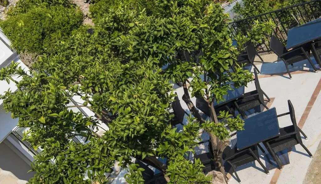 General view, Boutique Hotel Villa Gianlica, Naples