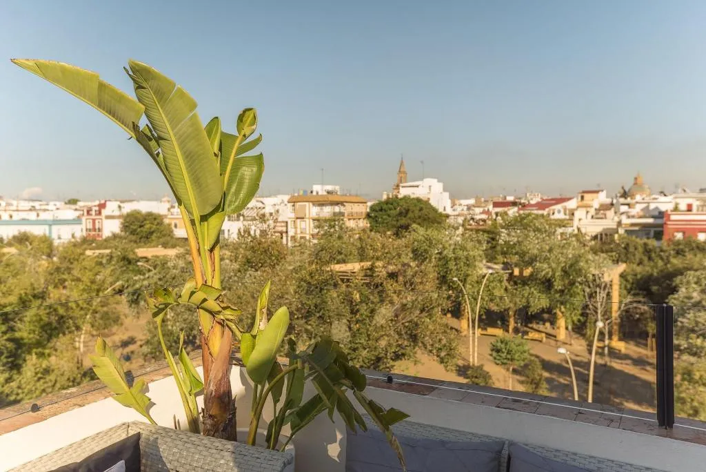 General view, The Corner House, Seville