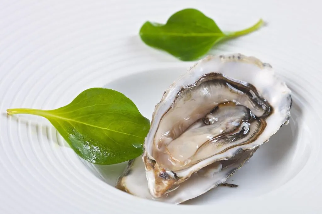 Restaurant, Luxury boutique hotel Villa Vulin, Istria