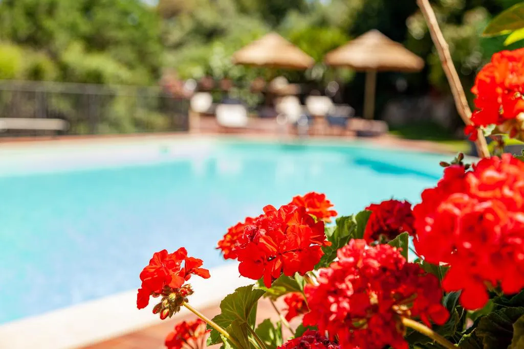 Pool, Hotel San Trano, Olbia