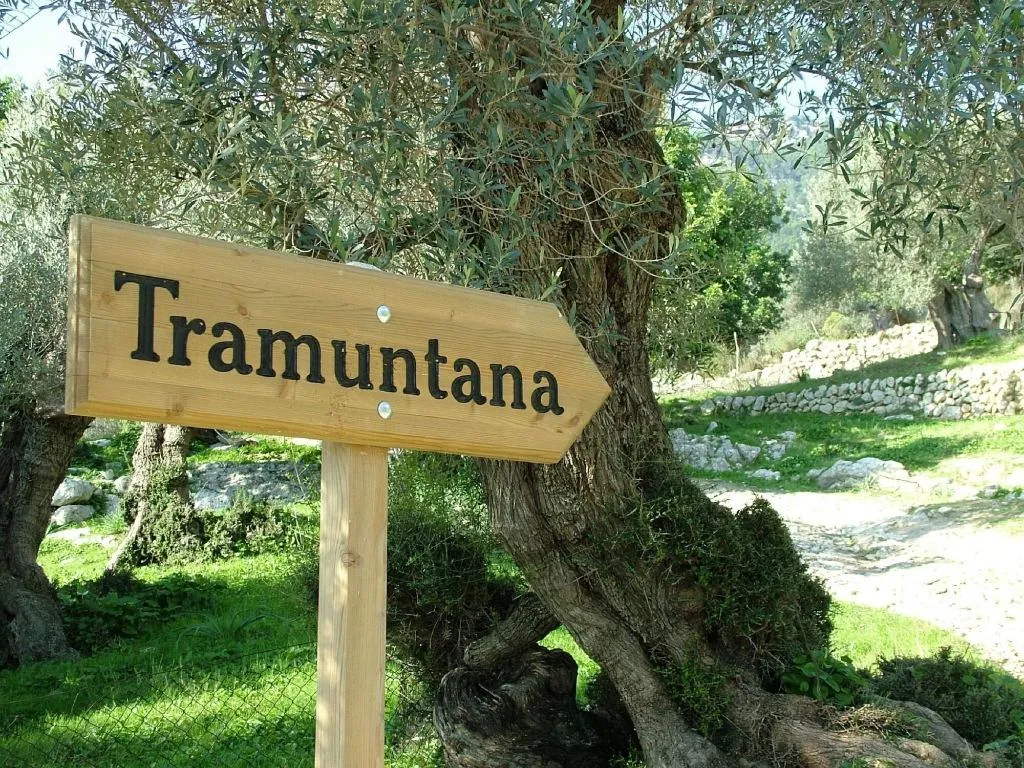 Sports and Entertainment, Monnaber Vell, Majorca