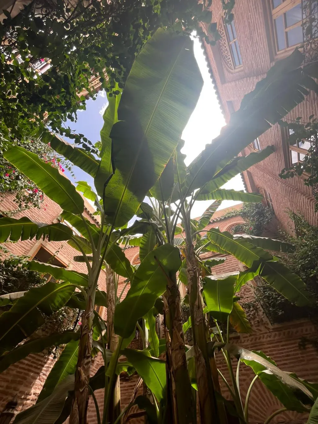 General view, Riad Dar Bounouar, Marrakech