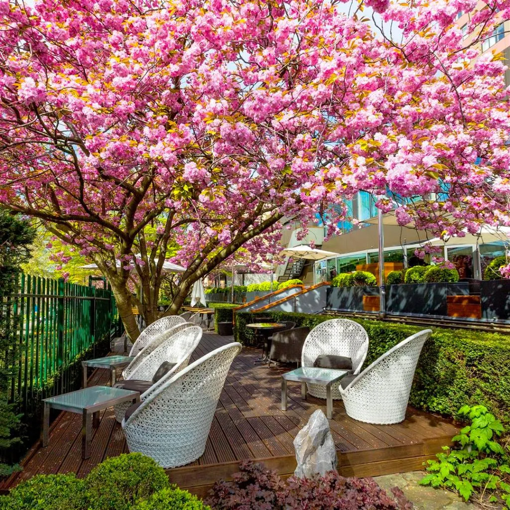 Terrace, Hotel Okura Amsterdam, Amsterdam