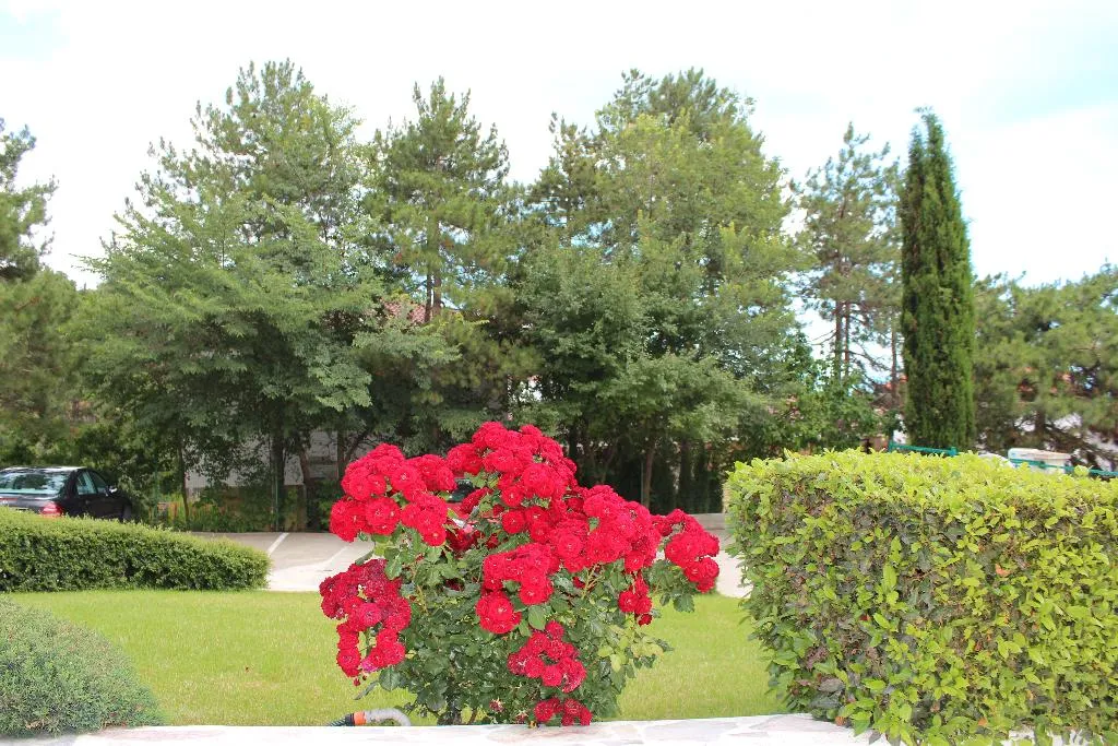 Terrace, Zora, Bourgas