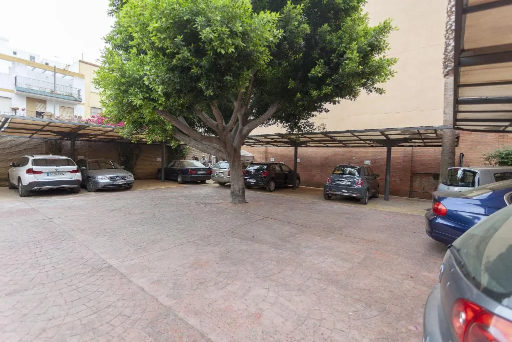 General view, AACR Monteolivos Hotel, Seville