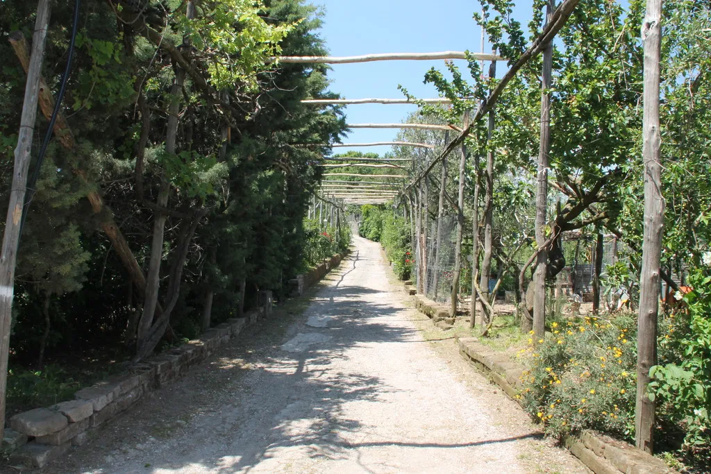 General view, Agriturismo Piccolo Paradiso, Naples